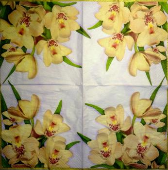 082 Orchids - 3-ply (lilac) - Paw